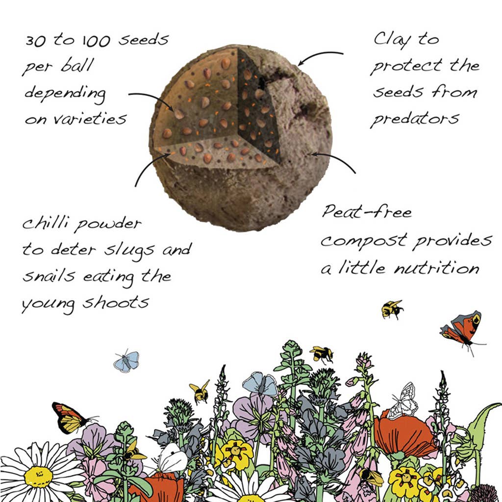 Wildflower Seedball Tubes - Mixed Box - The Noble Badger Ltd