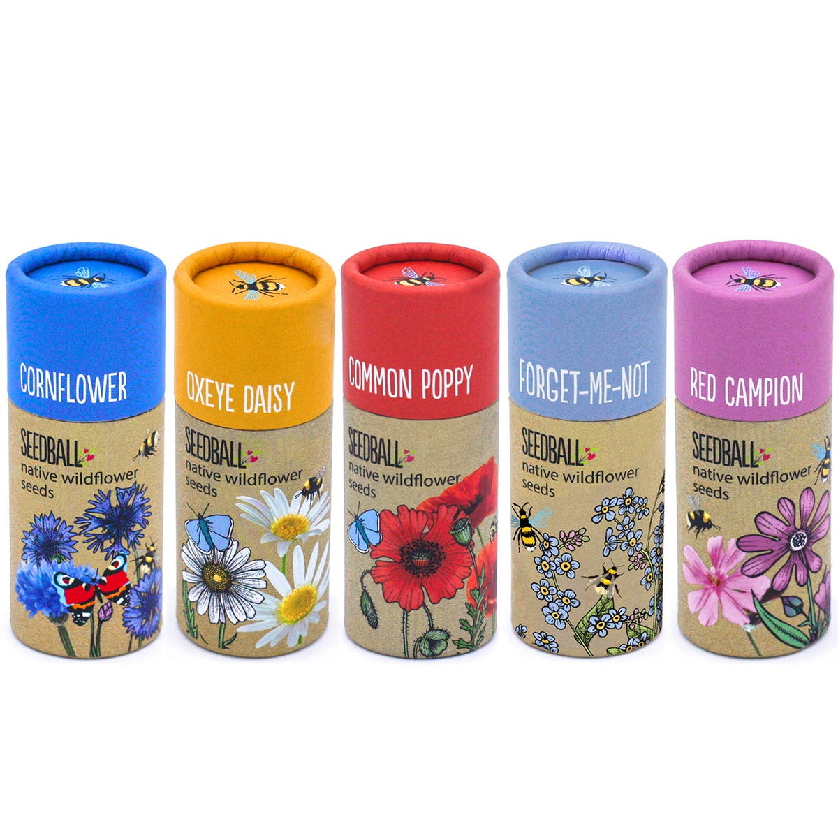 Wildflower Seedball Tubes - Mixed Box - The Noble Badger Ltd