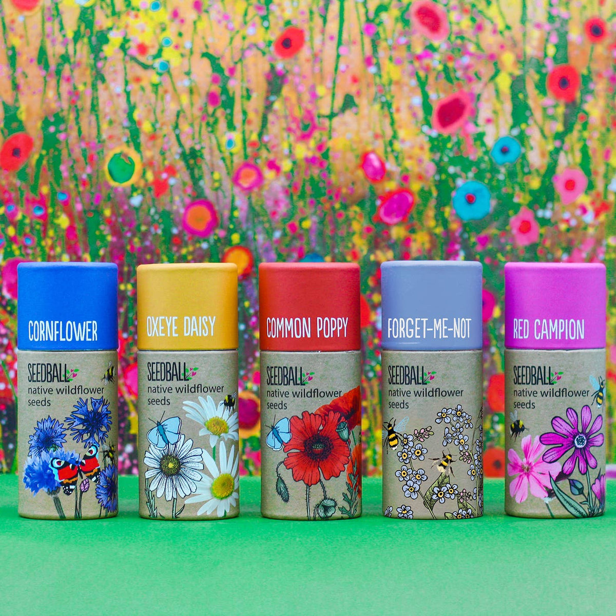 Wildflower Seedball Tubes - Mixed Box - The Noble Badger Ltd