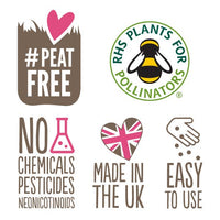 Wildflower Seedball Tubes - Mixed Box - The Noble Badger Ltd